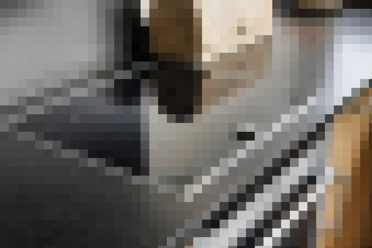 Bruggemaat 16 Borne thumbnail 14