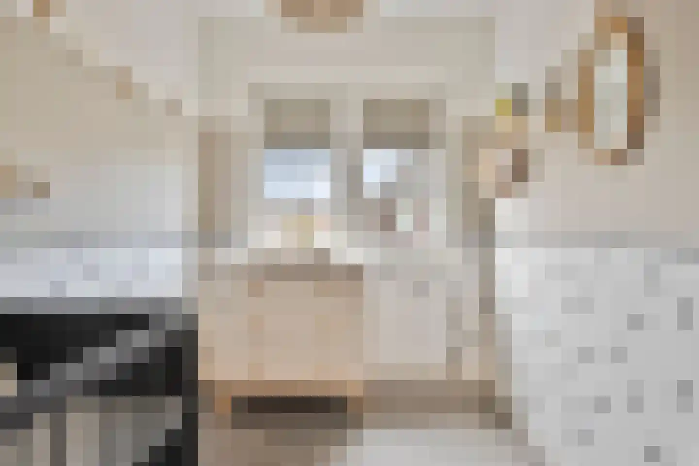 Bruggemaat 16 Borne thumbnail 20