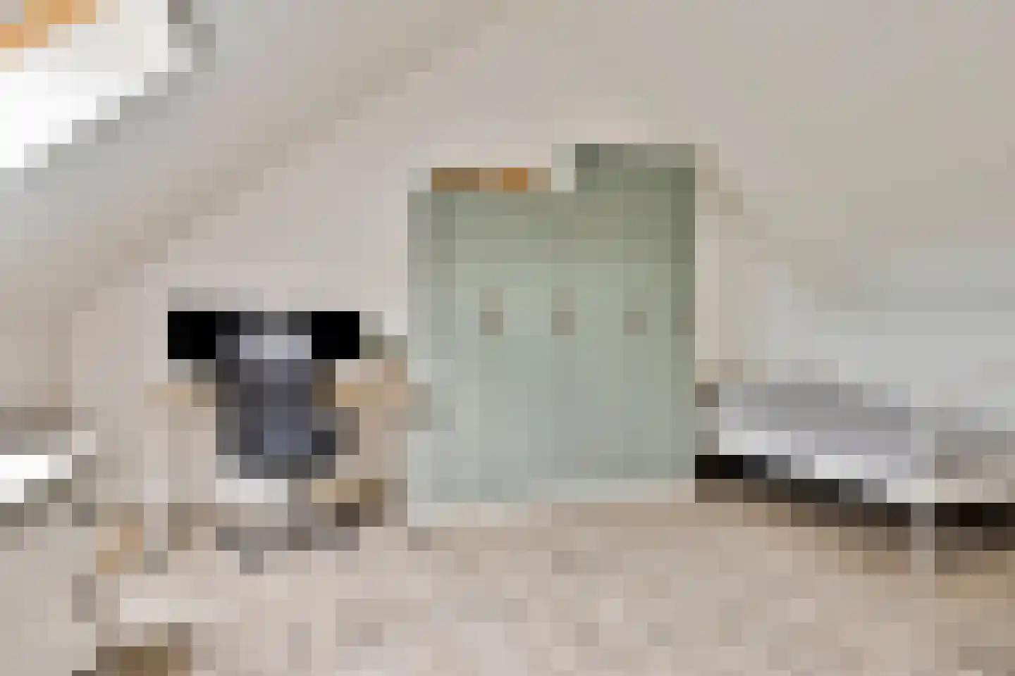 Bruggemaat 16 Borne thumbnail 25