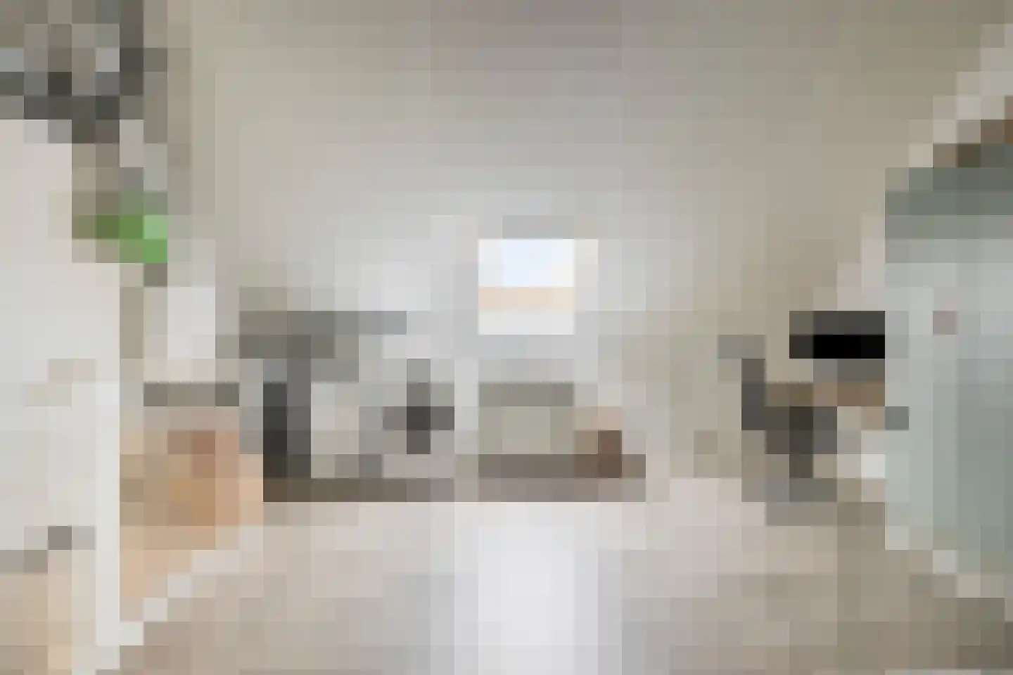 Bruggemaat 16 Borne thumbnail 27