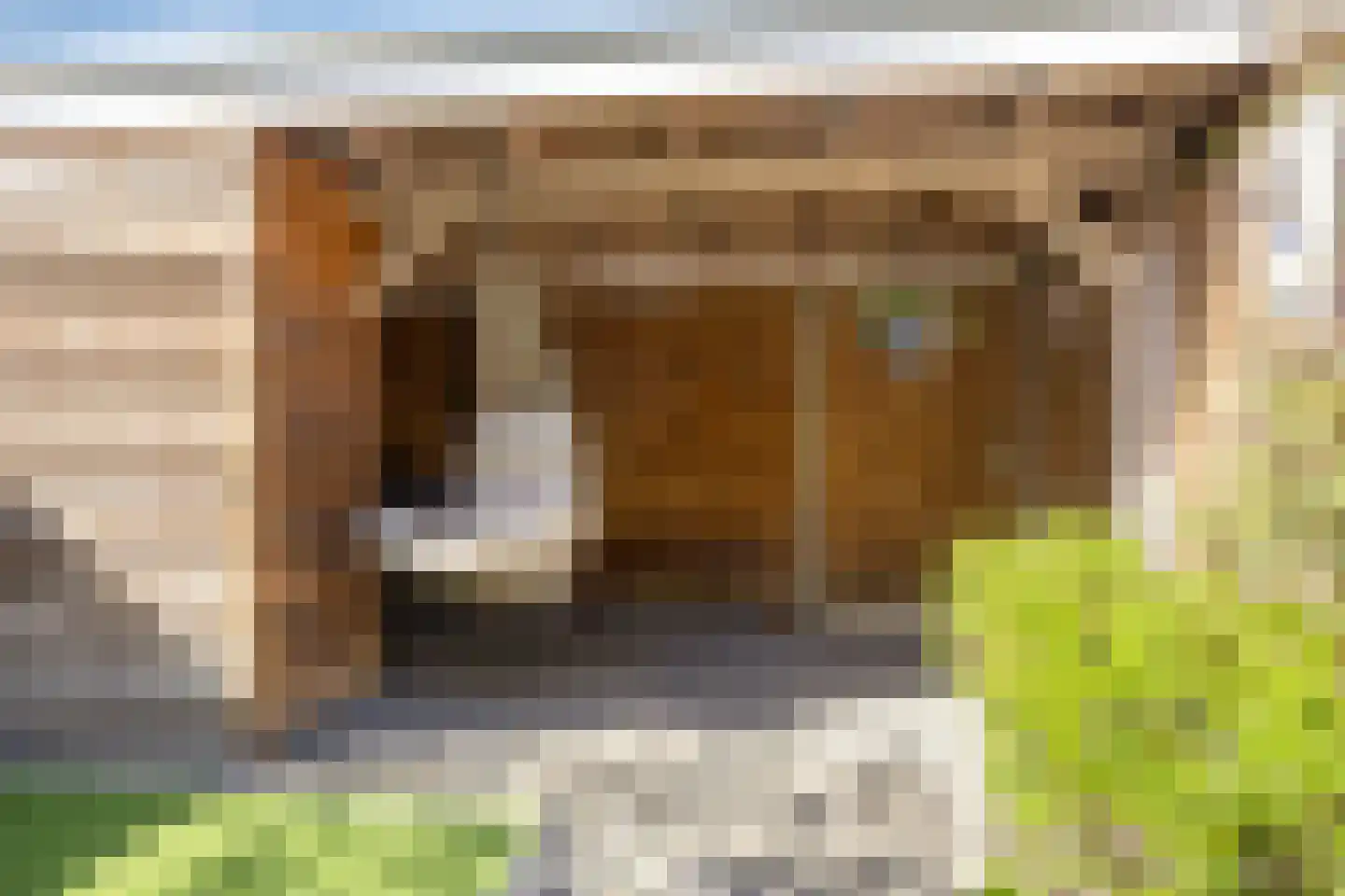 Bruggemaat 16 Borne thumbnail 31