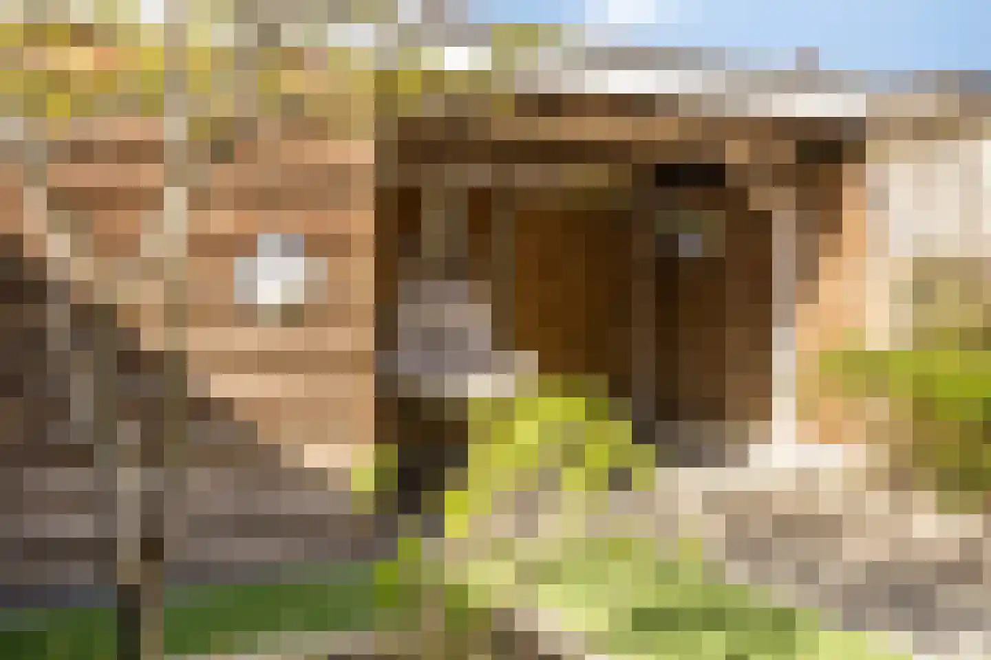 Bruggemaat 16 Borne thumbnail 32