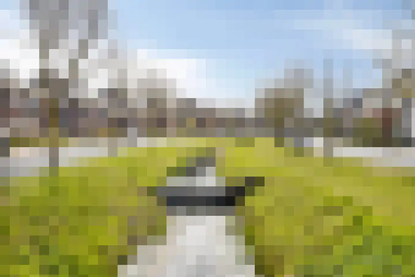 Bruggemaat 16 Borne thumbnail 36