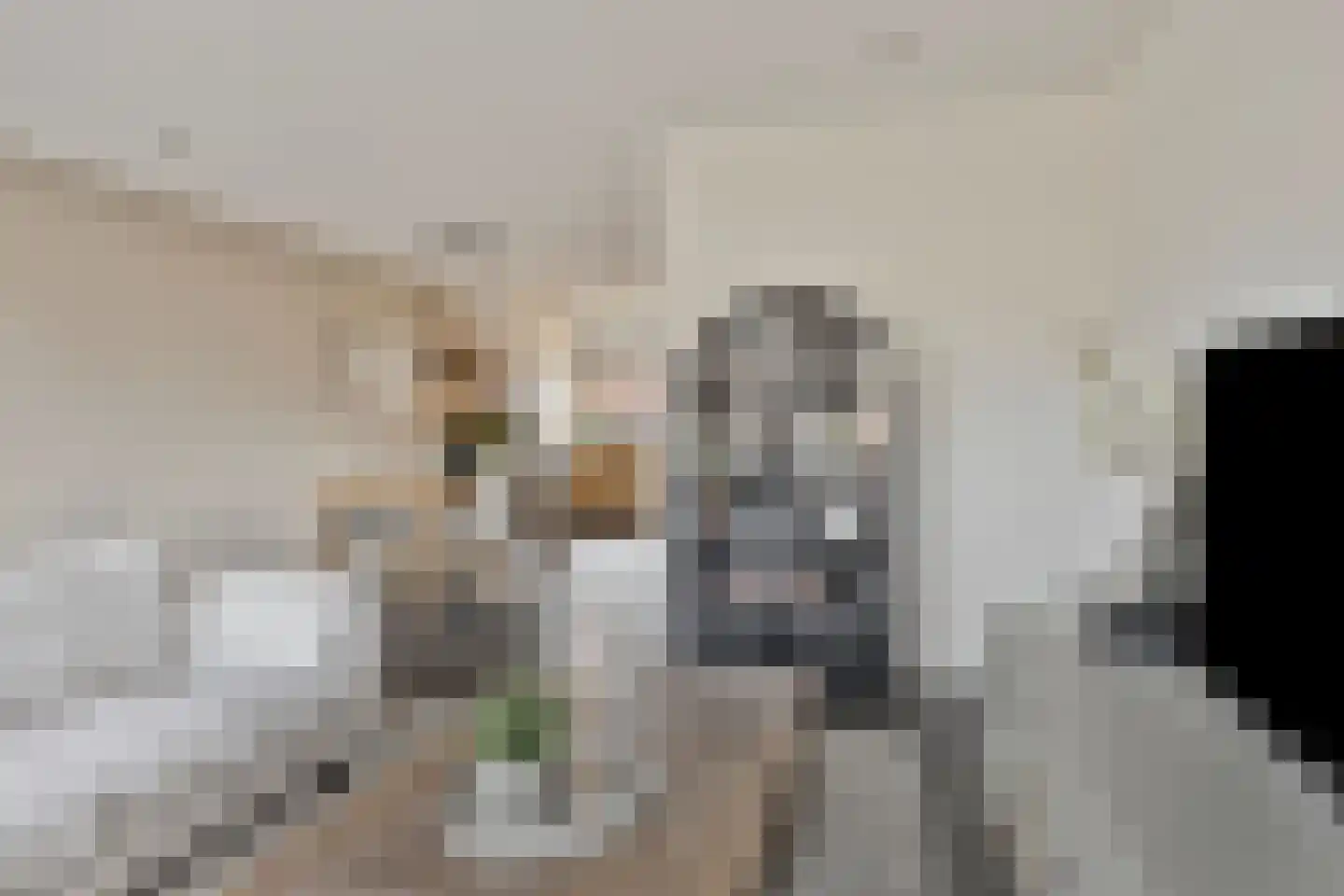 Bruggemaat 16 Borne thumbnail 4