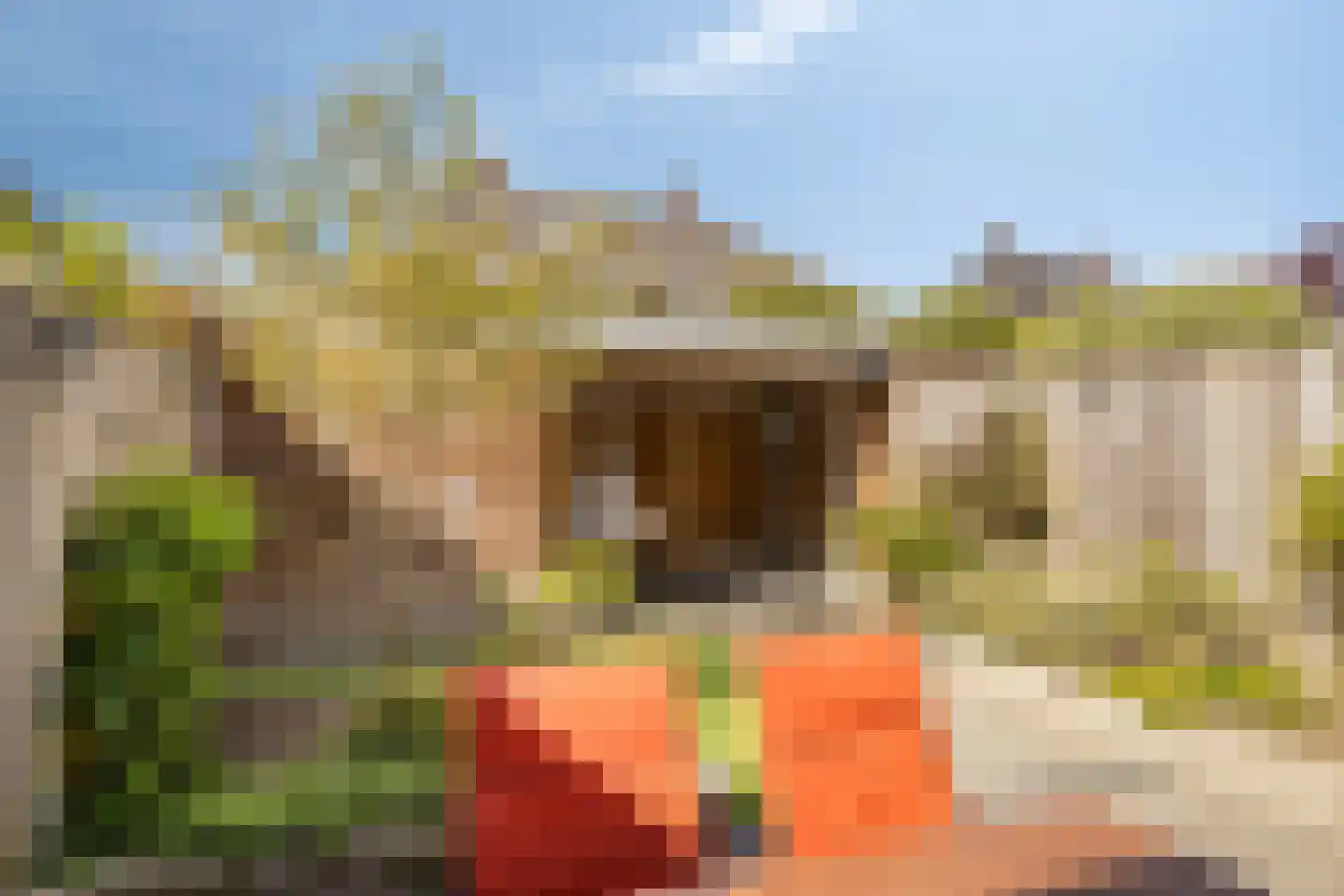 Bruggemaat 16 Borne thumbnail 7