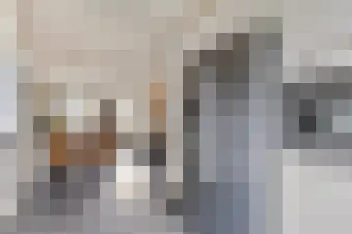 Bruggemaat 32 Borne thumbnail 11