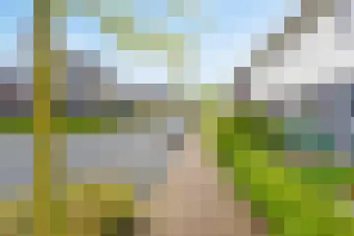 Bruggemaat 32 Borne thumbnail 23