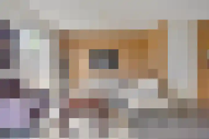 Bruggemaat 32 Borne thumbnail 9