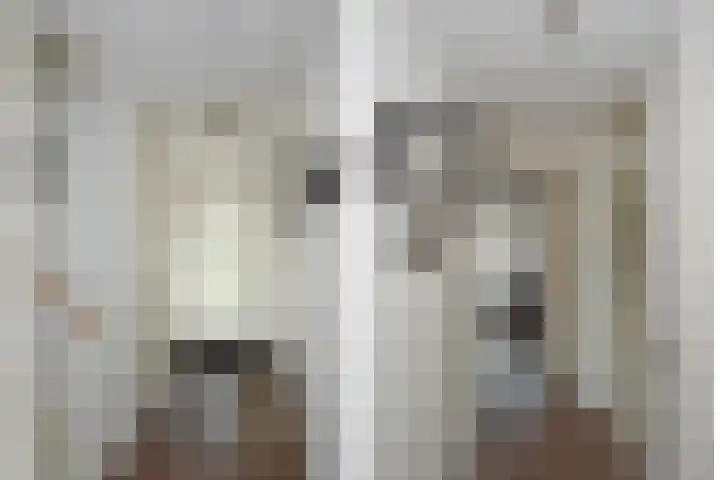 Bruggemaat 42 Borne thumbnail 10
