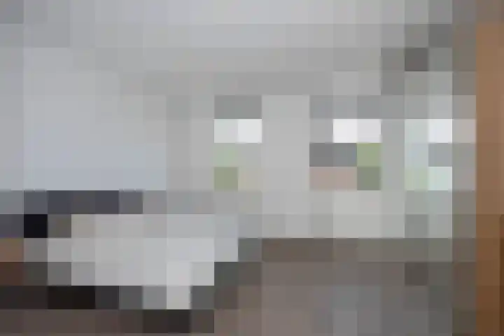 Bruggemaat 42 Borne thumbnail 11