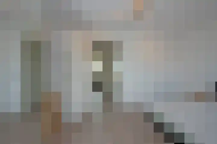 Bruggemaat 42 Borne thumbnail 12