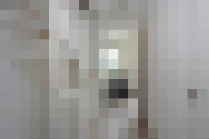 Bruggemaat 42 Borne thumbnail 13