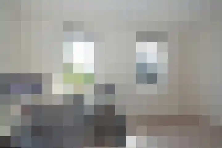 Bruggemaat 42 Borne thumbnail 17