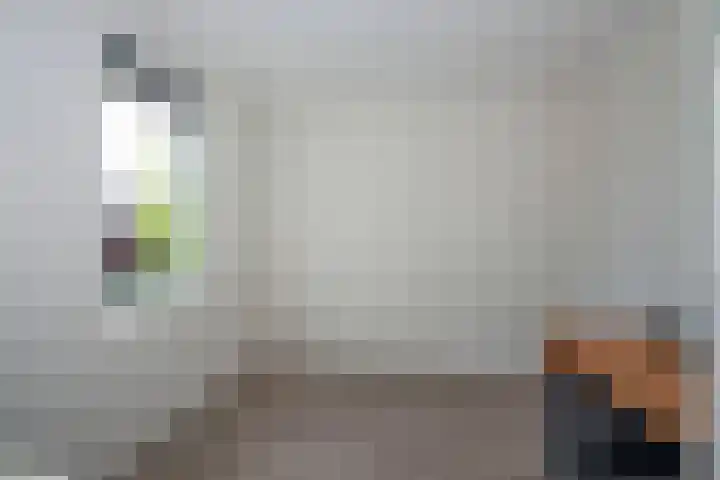 Bruggemaat 42 Borne thumbnail 18