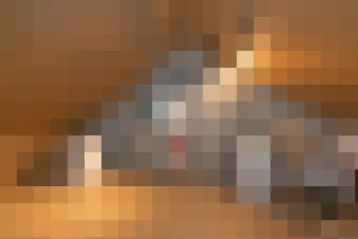 Bruggemaat 42 Borne thumbnail 20