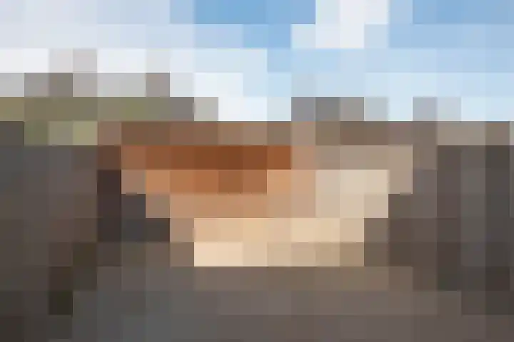 Bruggemaat 42 Borne thumbnail 22