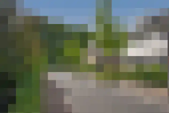 Bruggemaat 42 Borne thumbnail 25