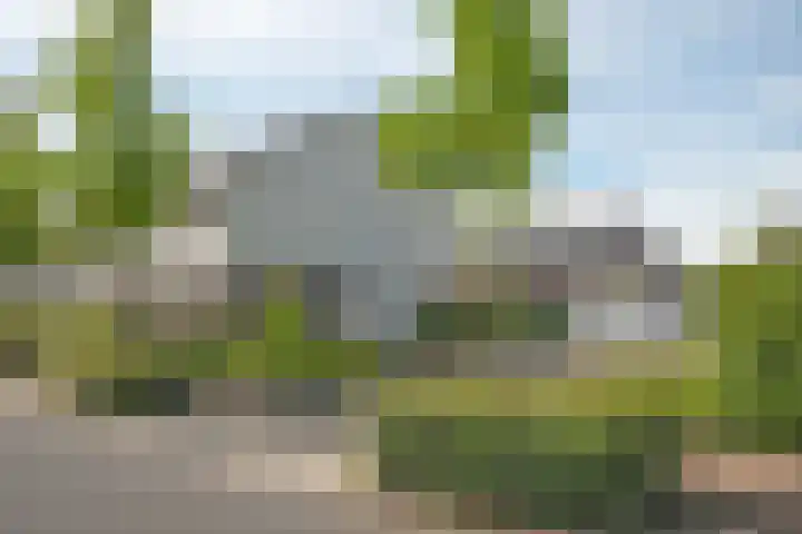 Bruggemaat 42 Borne thumbnail 27