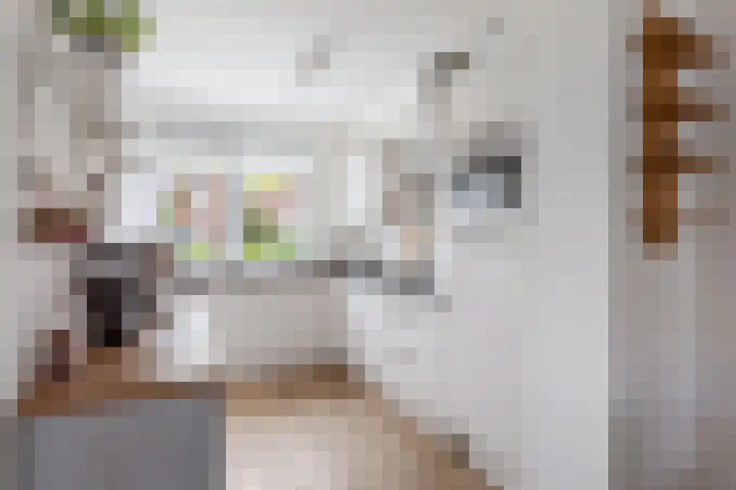 Bruggemaat 46 Borne thumbnail 11