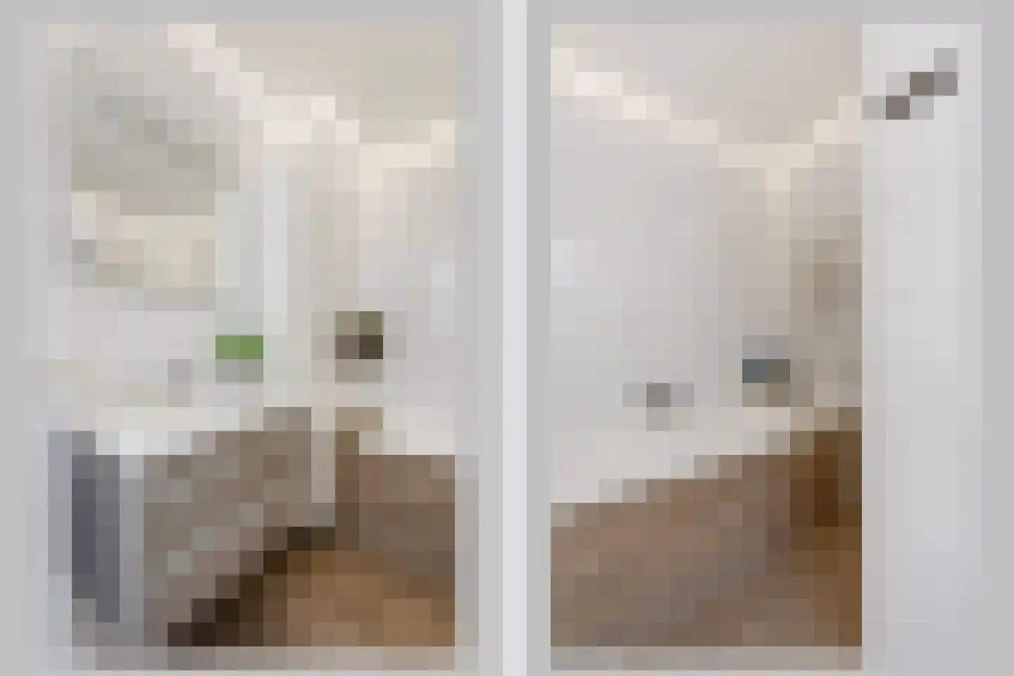 Bruggemaat 46 Borne thumbnail 13