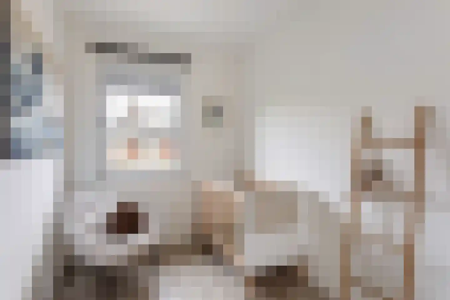 Bruggemaat 46 Borne thumbnail 18