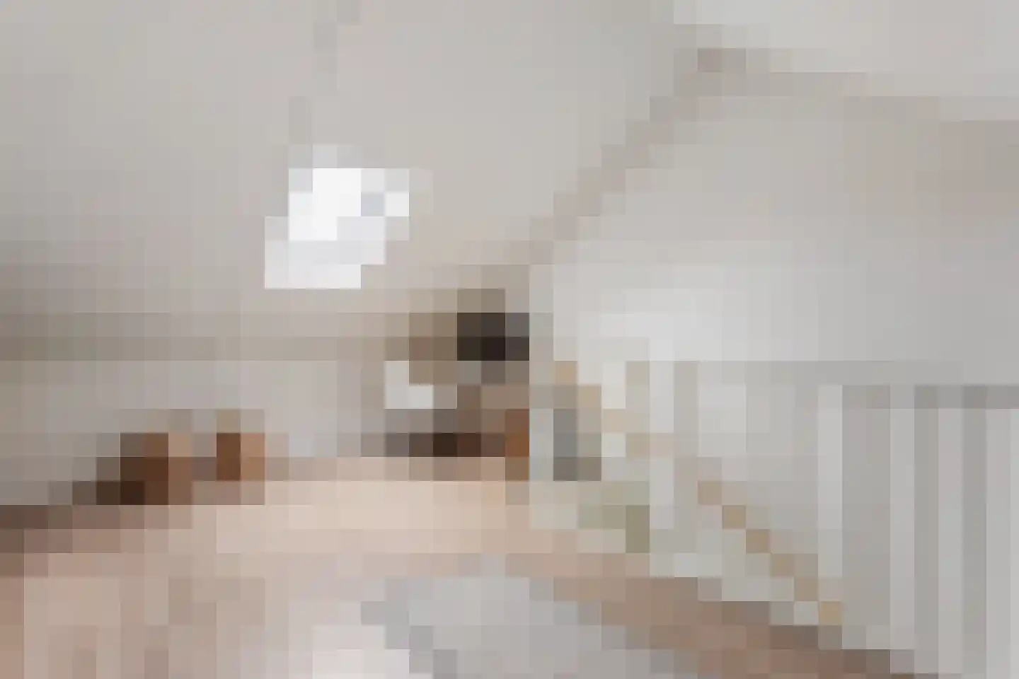 Bruggemaat 46 Borne thumbnail 19