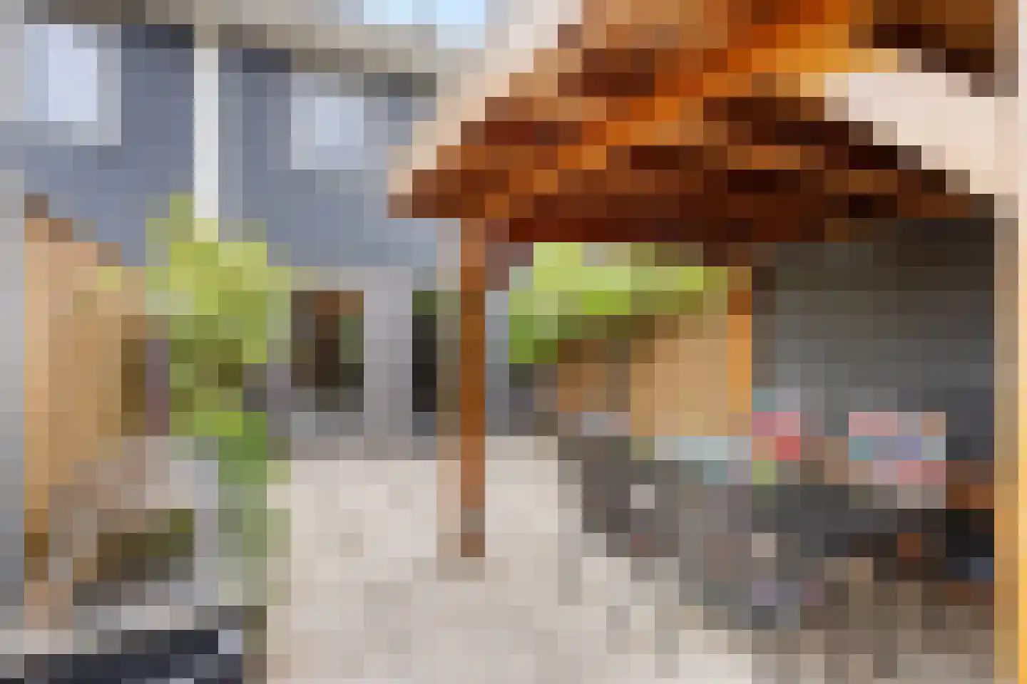 Bruggemaat 46 Borne thumbnail 21