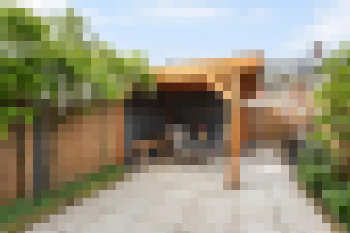 Bruggemaat 46 Borne thumbnail 22