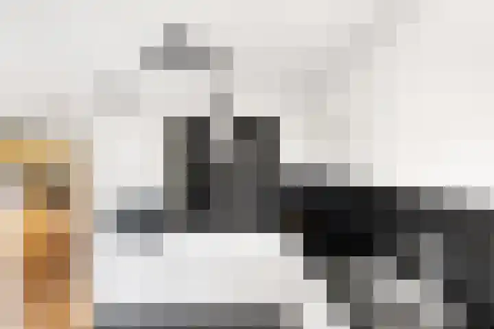 Bruggemede 1 Middelburg thumbnail 19