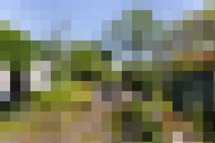Bruggemede 1 Middelburg thumbnail 22