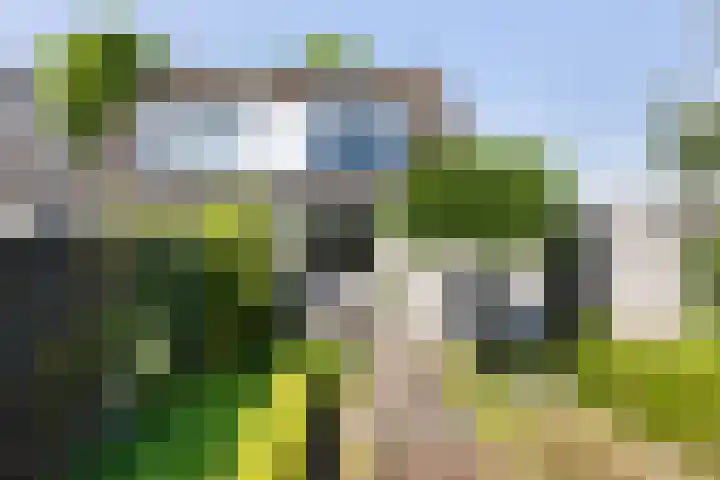 Bruggemede 1 Middelburg thumbnail 23