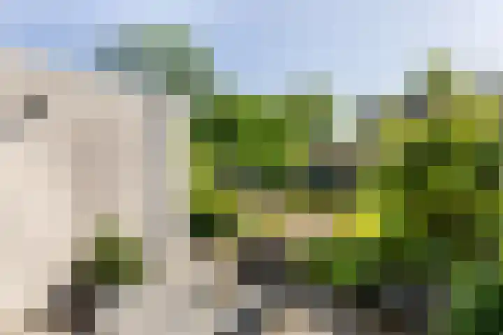 Bruggemede 1 Middelburg thumbnail 25