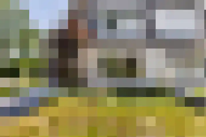 Bruggemede 1 Middelburg thumbnail 6