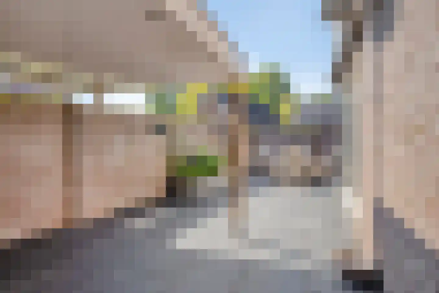 Bruggen 32 Rosmalen thumbnail 14