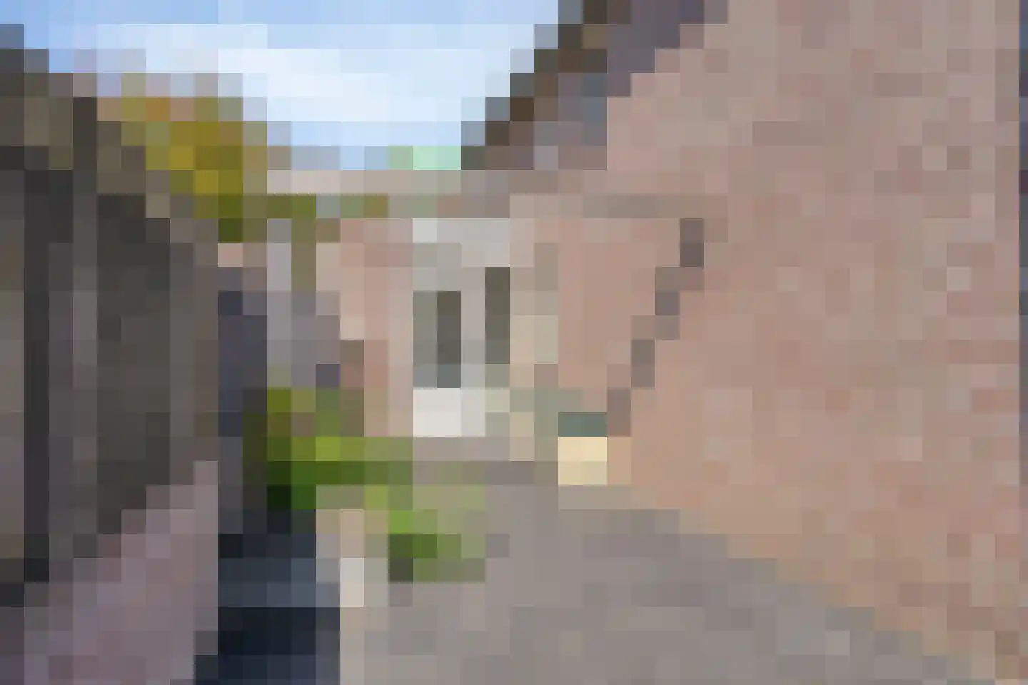 Bruggen 32 Rosmalen thumbnail 16