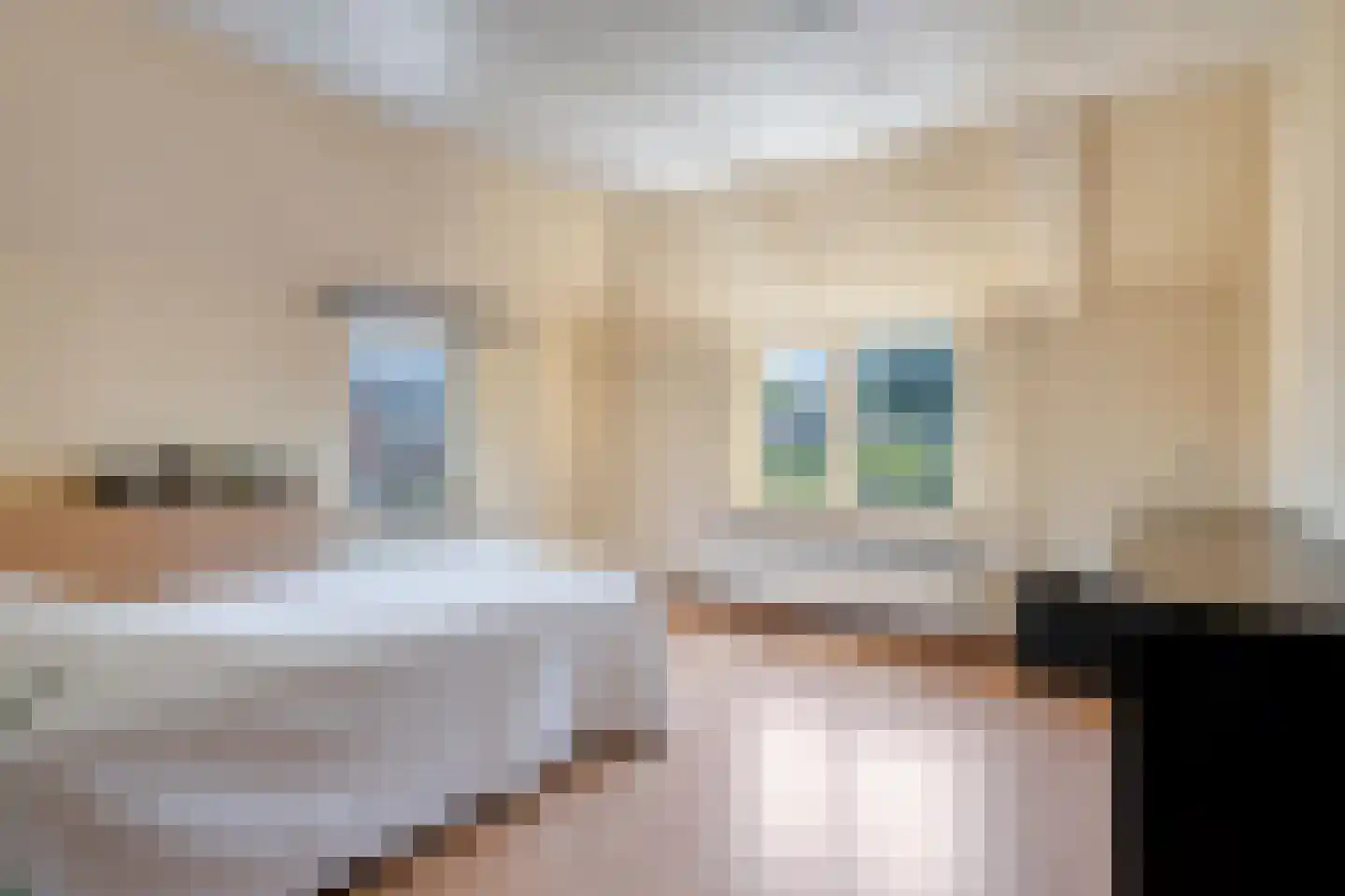 Bruggen 32 Rosmalen thumbnail 23