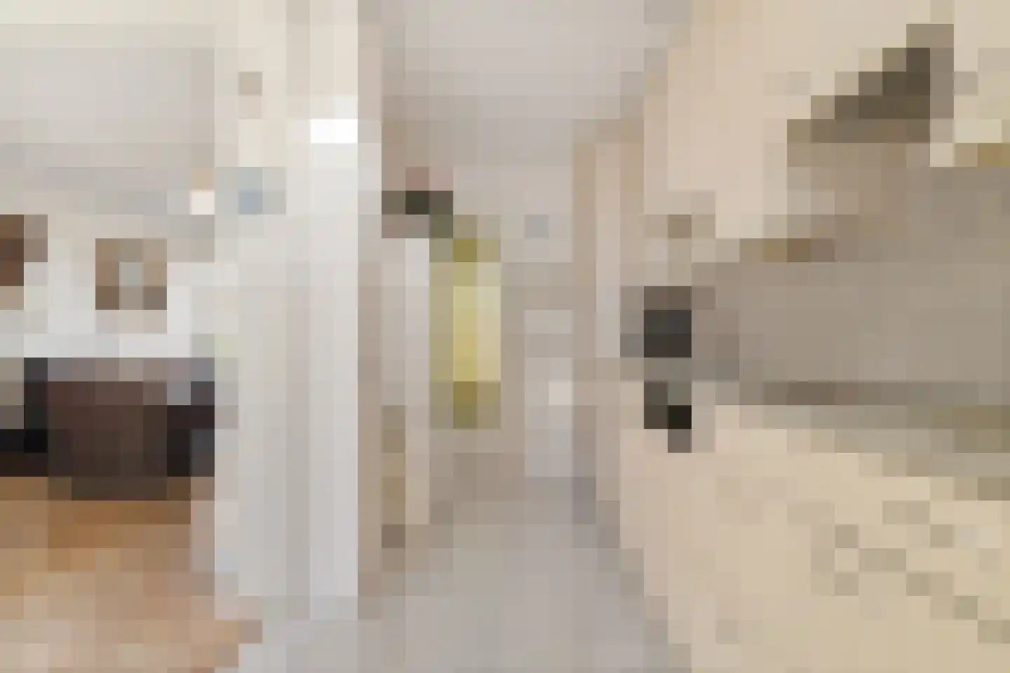 Bruggenmorsweg 69 Enschede thumbnail 11