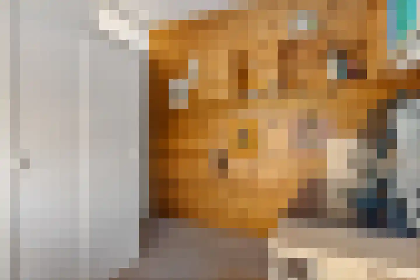 Bruggenmorsweg 69 Enschede thumbnail 18
