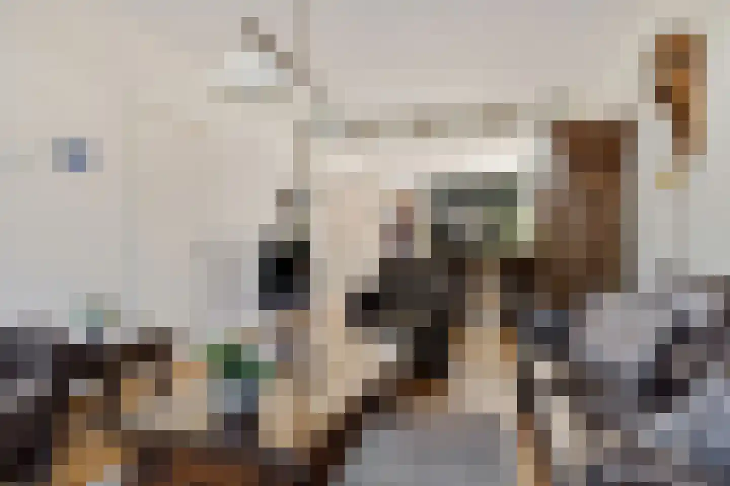 Bruggenmorsweg 69 Enschede thumbnail 7