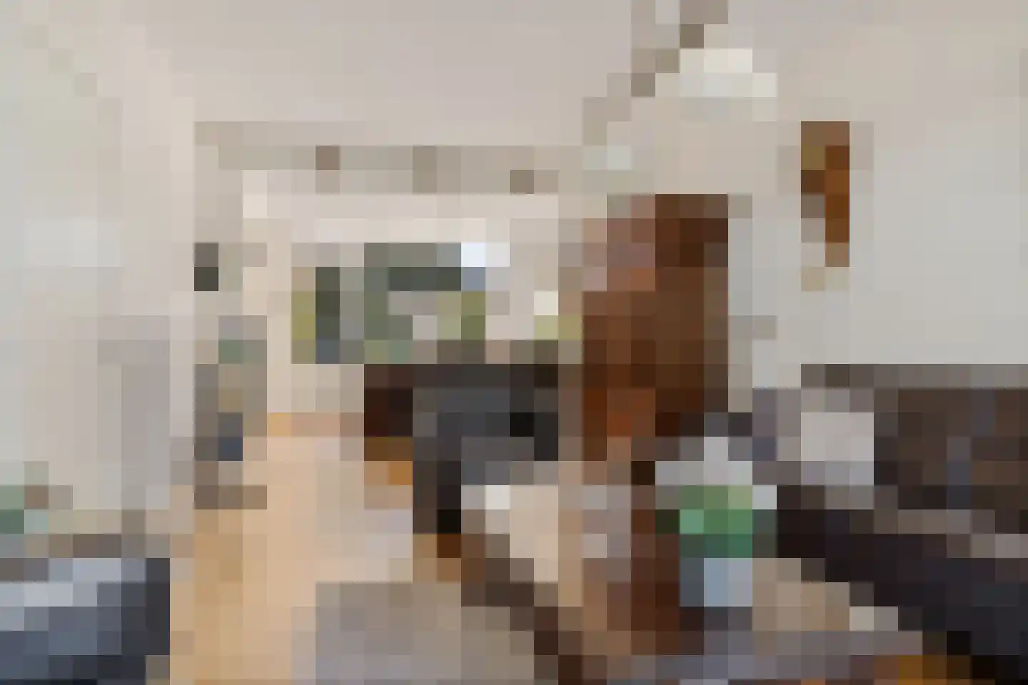 Bruggenmorsweg 69 Enschede thumbnail 8