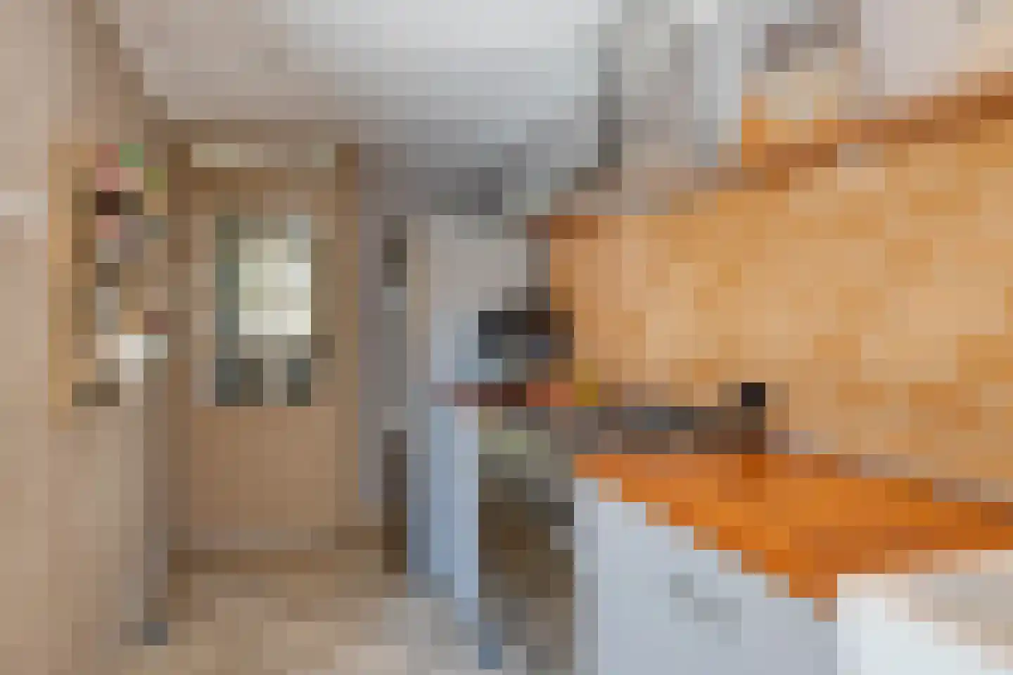 Bruggenmorsweg 89 Enschede thumbnail 13