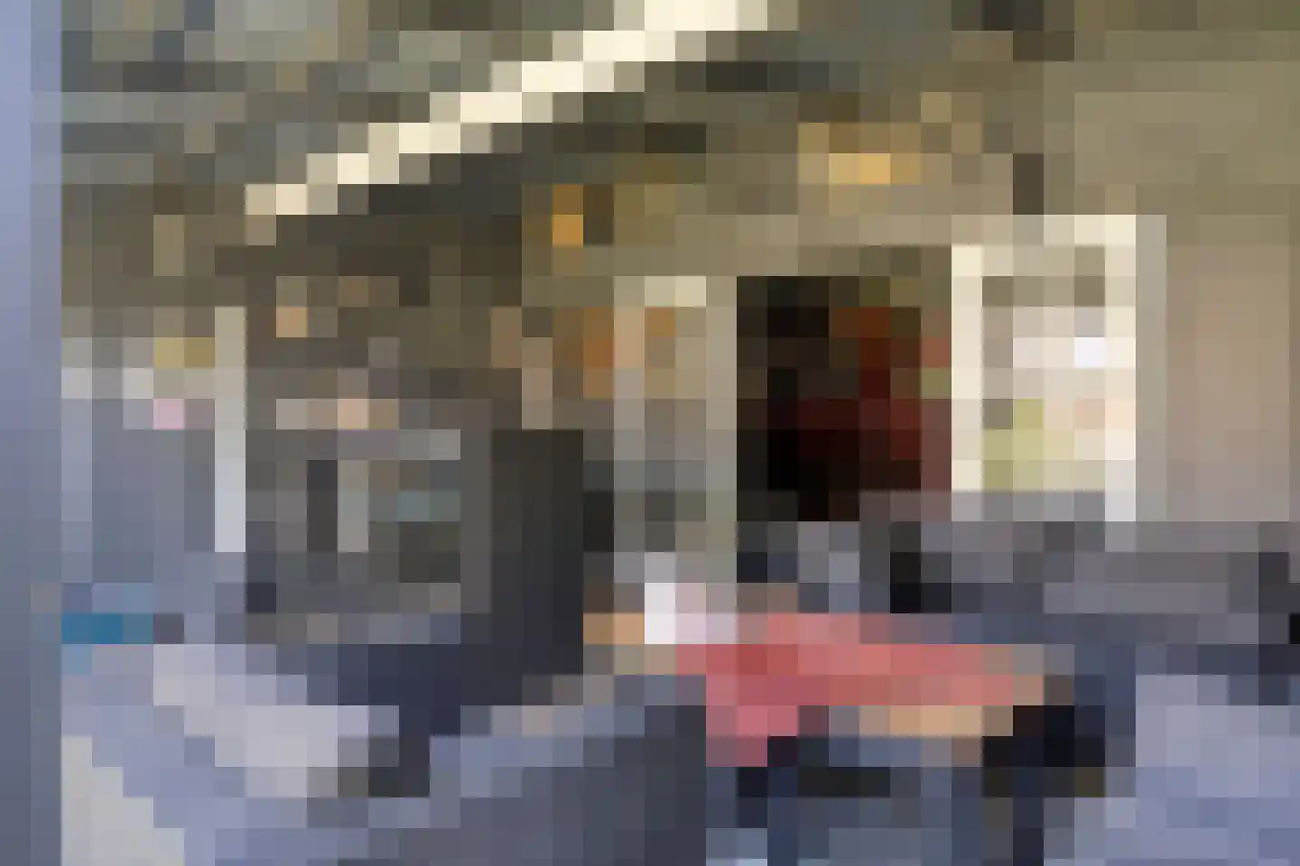 Bruggenmorsweg 89 Enschede thumbnail 27