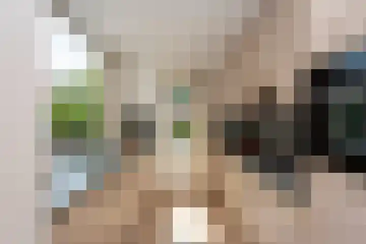 Bruggenrijt 25 Tilburg thumbnail 11