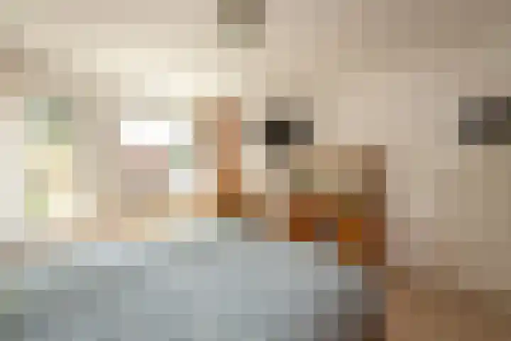 Bruggenrijt 25 Tilburg thumbnail 16