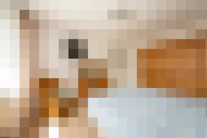 Bruggenrijt 25 Tilburg thumbnail 17