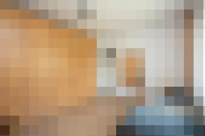 Bruggenrijt 25 Tilburg thumbnail 20