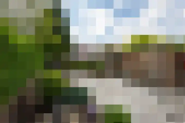 Bruggenrijt 25 Tilburg thumbnail 32