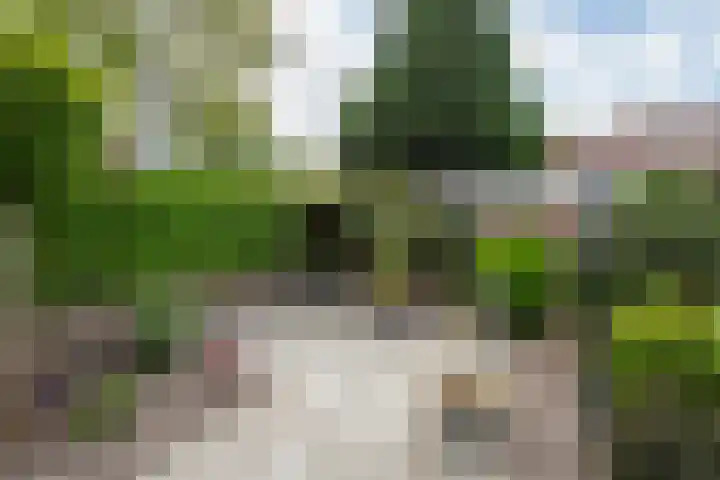Bruggenrijt 25 Tilburg thumbnail 34