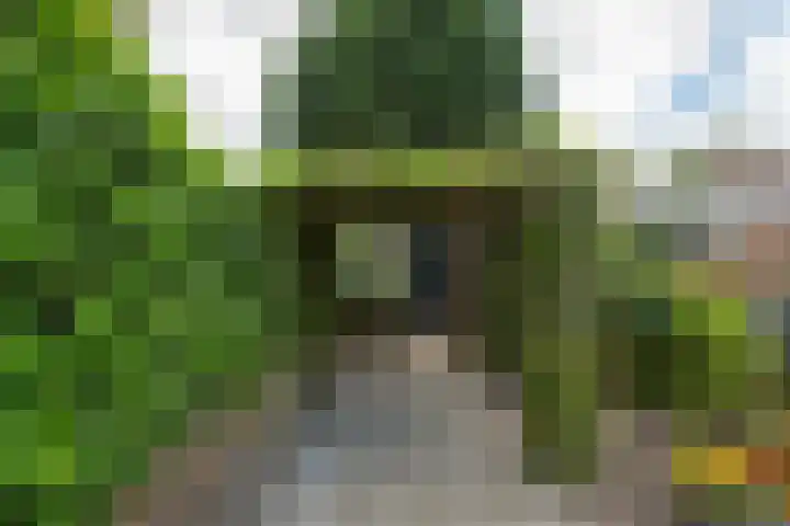 Bruggenrijt 25 Tilburg thumbnail 35