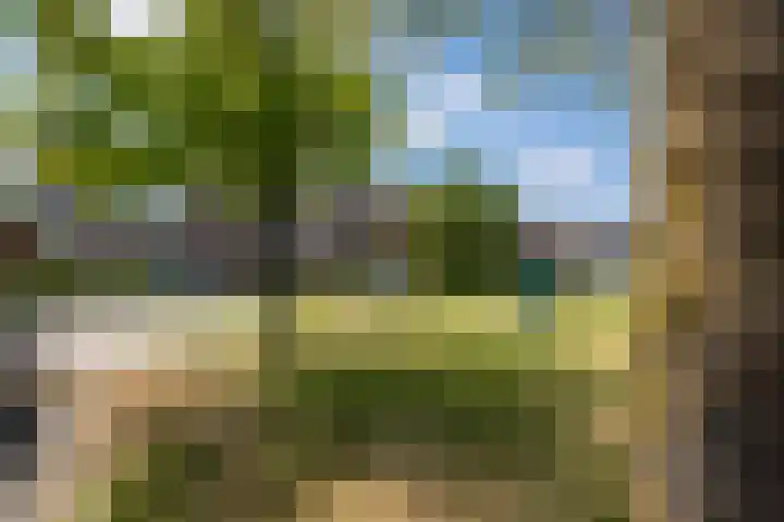 Bruggenrijt 25 Tilburg thumbnail 37